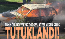 TBMM önünde 'Beyaz Toros'u ateşe veren şahıs tutuklandı