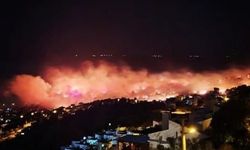 Yangında 7 ev küle döndü