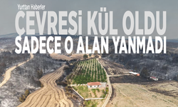 Çevresi kül oldu, sadece o alan yanmadı