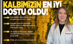 Kalp ve bağışıklık sistemi dostu: ‘Üzüm'
