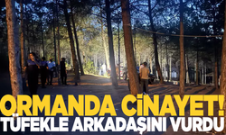 Ormanlık alanda cinayet!