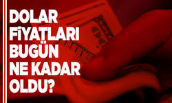 Dolar ve euro bugün ne kadar oldu?