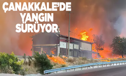 Çanakkale'de orman yangını:Çok sayıda mahalle tahliye edildi