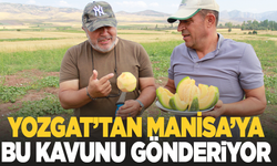 Yozgat'tan Manisa'ya 'Bağrıbütün Kavunu' gönderiyor