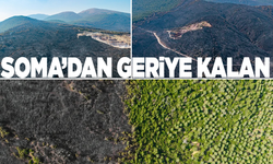 Yangın sonrası yürek burkan görüntüler