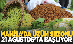 Manisa'da Üzüm Sezonu Başlıyor: 2025-2026 Sezonu Kuru Üzüm Töreni 21 Ağustos’ta