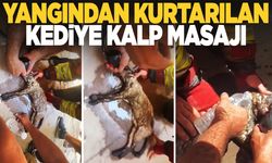 Yangından kurtarılan kediye itfaiye ekiplerinden kalp masajı