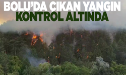 Bolu’da çıkan orman yangını kontrol altına alındı