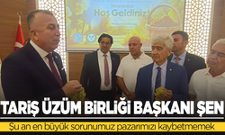 TARİŞ Üzüm Birliği Başkanı Şen: Şu an en büyük sorunumuz pazarımızı kaybetmemek