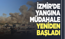 İzmir'de gün ağardı, yangına hava müdahalesi yeniden başladı