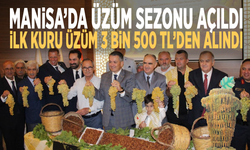 Manisa’da üzüm sezonu açıldı: İlk kuru üzüm 3 Bin 500 TL’den alındı