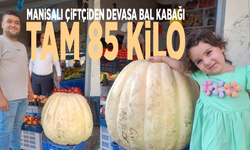 Manisalı çiftçiden devasa bal kabağı: Tam 85 kilo