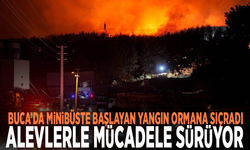 Buca’da minibüste başlayan yangın ormana sıçradı: Alevlerle mücadele sürüyor