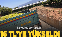 Sarıgöl’de çıkma üzüm 16 TL’ye yükseldi