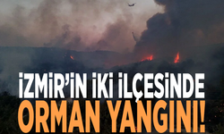 İzmir’in iki ilçesinde orman yangını!