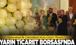Geleneksel İlk Kuru Üzüm Töreni yarın yapılacak