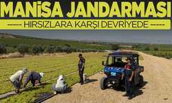 Manisa'da Jandarma üzüm hırsızlarına karşı alarmda
