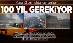 Yanan 3 bin hektar orman için 100 yıl gerekiyor
