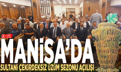 Manisa’da Sultani çekirdeksiz üzüm sezonu açılışı