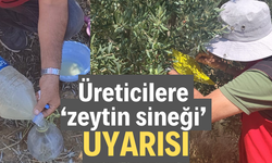 Üreticilere ‘zeytin sineği’ uyarısı