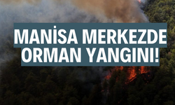 Manisa merkezde orman yangını
