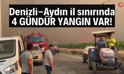 Denizli-Aydın il sınırında 4 gündür yangın var