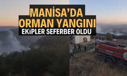 Manisa'da orman yangını