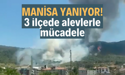 Manisa yanıyor! 3 ilçede orman yangını