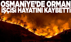 Osmaniye'de bir orman işçisi daha şehit oldu