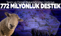 Çiftçilere 772 Milyon 805 Bin TL Destekleme Ödemesi