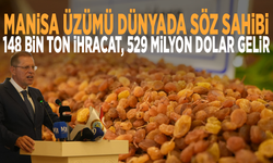 Manisa üzümü dünyada söz sahibi: 148 bin ton ihracat, 529 milyon dolar gelir