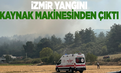 İzmir'deki orman yangınıyla ilgili 3 gözaltı
