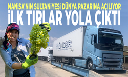 Manisa’nın Sultaniyesi dünya pazarına açılıyor: İlk tırlar yola çıktı