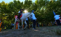 Sakarya’da Pony atlarla şenlik