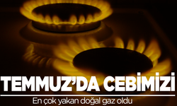 Doğal gaz cebimizi yaktı