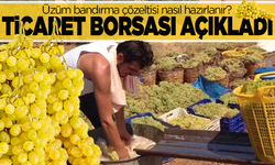 Manisa Ticaret Borsası’ndan Üreticiye Bilgilendirme: Üzüm Bandırma Çözeltisi Nasıl Hazırlanır?