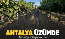 Antalya, üzümde Manisa'yı sollayacak mı?