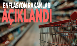TÜİK açıkladı: Aylık enflasyon yüzde 2,06 arttı