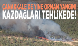 Çanakkale'de yine orman yangını: Kazdağları tehlikede!