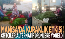 Manisa’da kuraklık etkisi: Çiftçiler alternatif ürünlere yöneldi