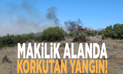 Makilik alanda korkutan yangın!