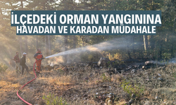 İlçedeki orman yangınına havadan müdahale