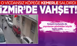 İzmir'de köpeğe kemerli şiddet