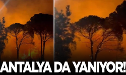 Antalya Aksu’da ormanlık alanda yangın