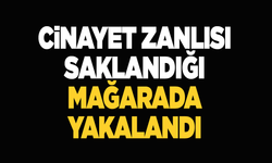 Cinayet zanlısı saklandığı mağarada yakalandı