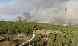 Kastamonu’daki orman yangını sürüyor