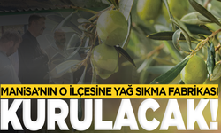 Zeytin Üreticilerinin Yüzünü Güldürecek Adım
