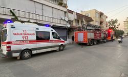 Antalya'da yangın çıkan evdeki muhabbet kuşunu itfaiye kurtardı