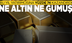 Platin bu yıl yatırımcısına yüzde 74 kazandırdı