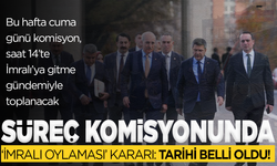 'Süreç' komisyonundan ‘İmralı oylaması’ kararı: Tarihi belli oldu!